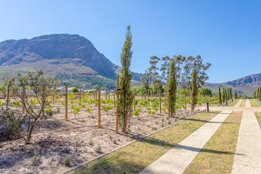 0 Bedroom Property for Sale in Franschhoek Western Cape